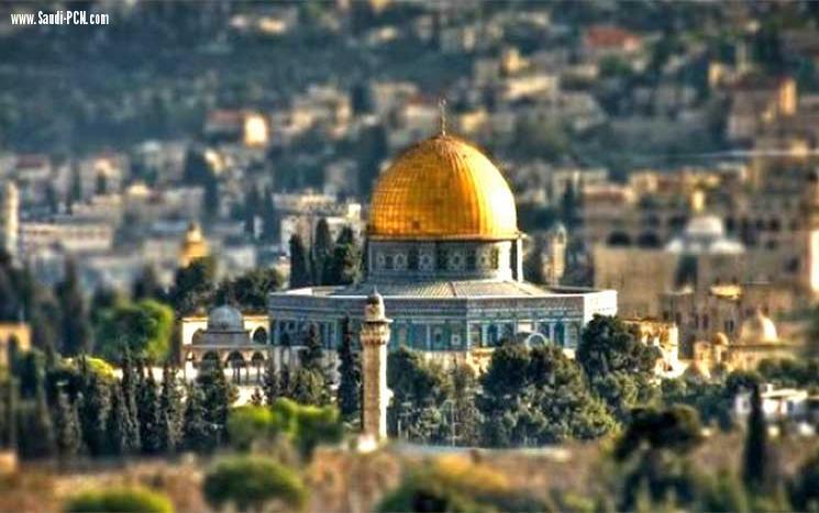 فلسطين : صوتت 128 دولة لصالح قرار يدين اعتبار الرئيس الأميركي دونالد ترمب القدس عاصمة ل